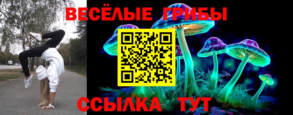 Псилоцибиновые грибы мицелий Старая Купавна