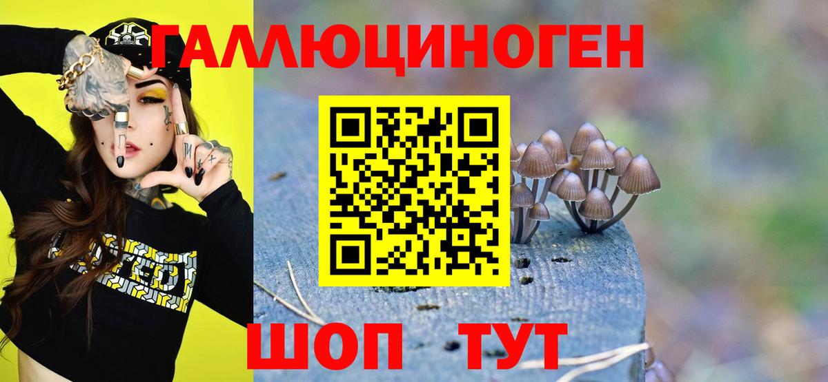 Галлюциногенные грибы мицелий  Вход с VPN  Старая Купавна 