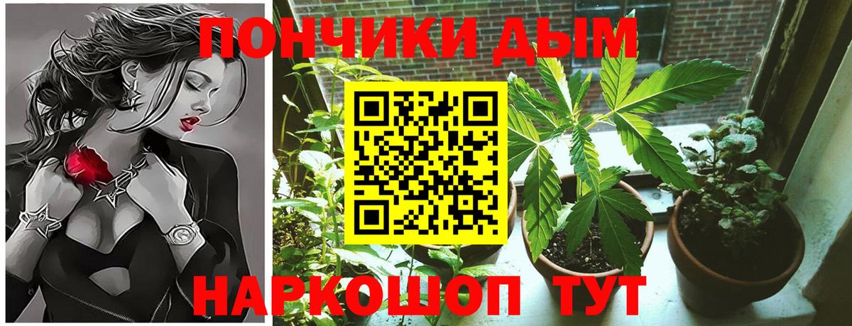 Конопля семена  Вход с VPN  Бошки марихуана семена  Старая Купавна  Бошки Шишки Amnesia  Конопля планчик 